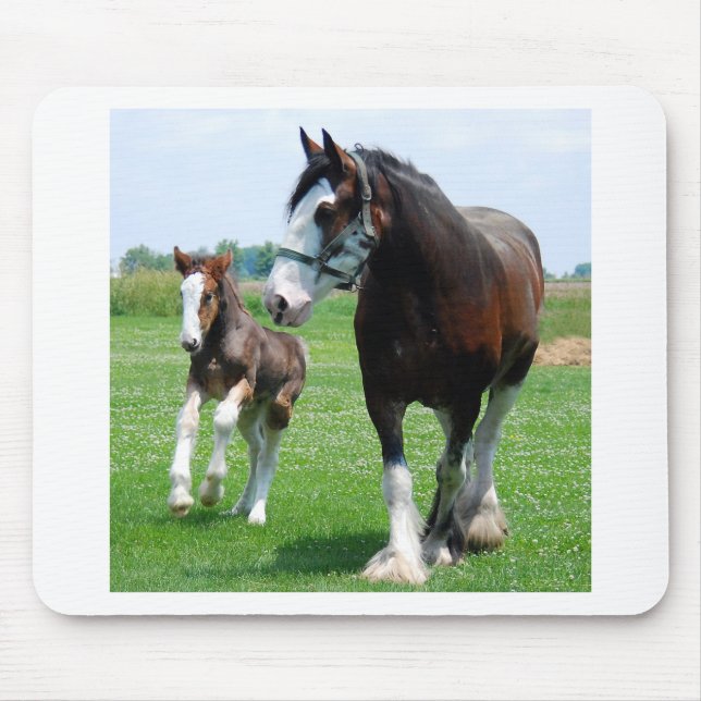 Mousepad Clydesdale e potro (Frente)