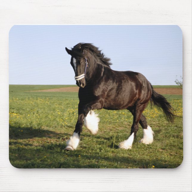Mousepad Clydesdale Horse (Frente)