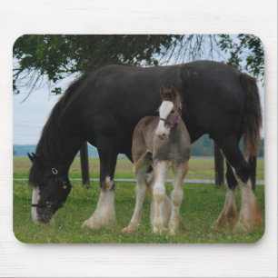 Mousepad Clydesdale preto e potro