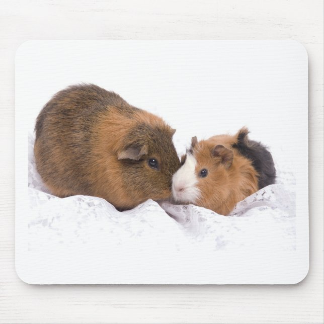 Mousepad cobaia (Frente)