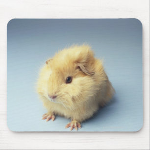 Mousepad Cobaia colorida creme
