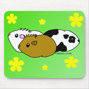 Mousepad Cobaias