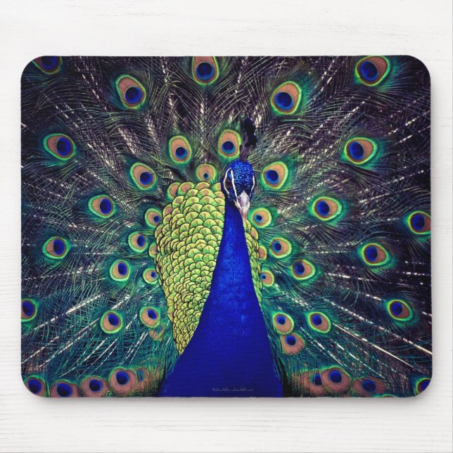 Mousepad Cobalto Blue Peacock (Frente)