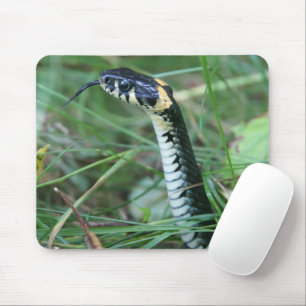 Mousepad Cobra