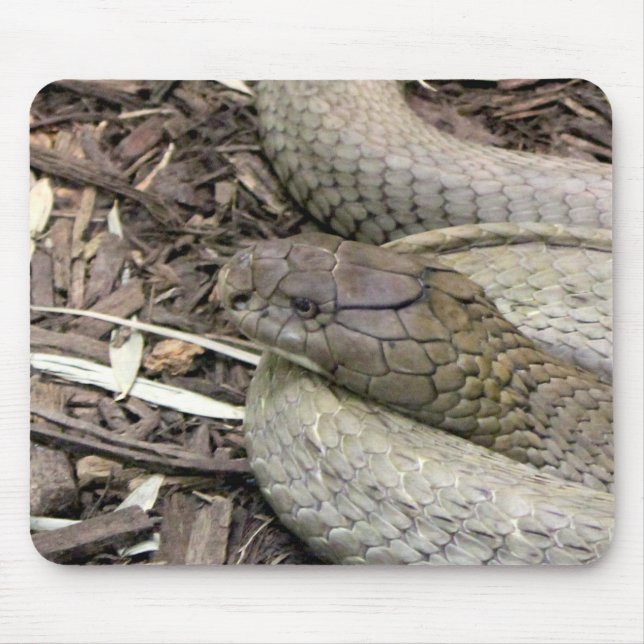 Mousepad Cobra (Frente)