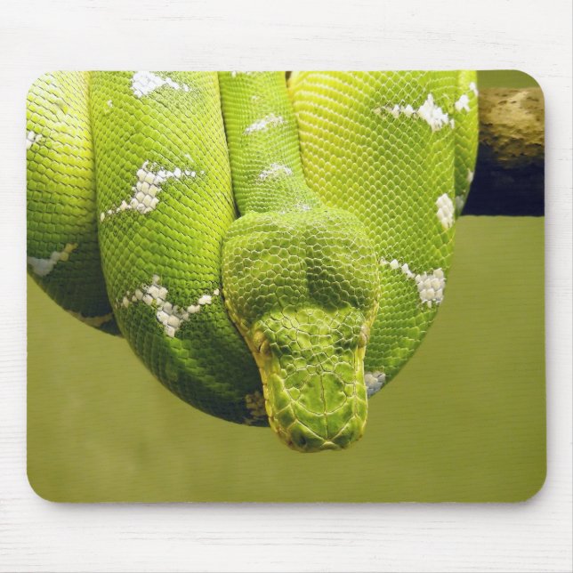 Mousepad Cobra (Frente)