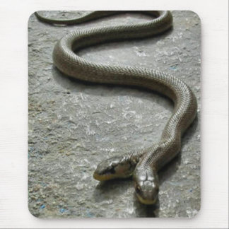 Mousepad Cobra de duas cabeças