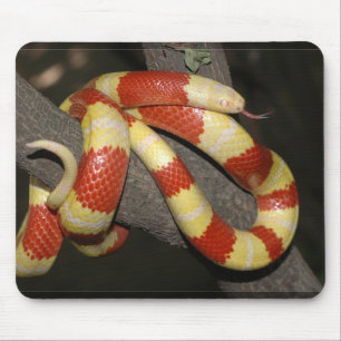 Mousepad Cobra de leite