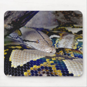 Mousepad Cobra de Python Reticulado