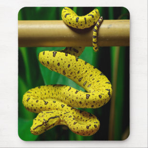 Mousepad Cobra de Python verde Fase Amarelo
