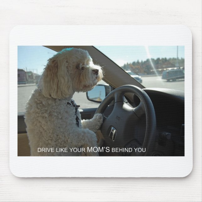 Mousepad Cockapoo suspeito olha no espelho (Frente)