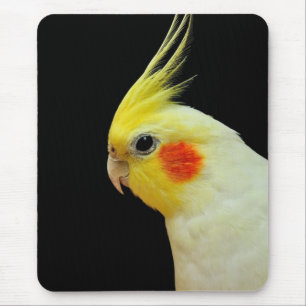 Mousepad Cockatiel de Lutino