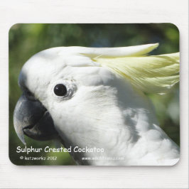 Mousepad Cockatoo com crista do enxofre