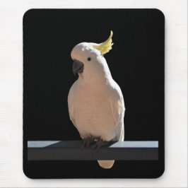 Mousepad Cockatoo nos apartamentos de relógio de sol