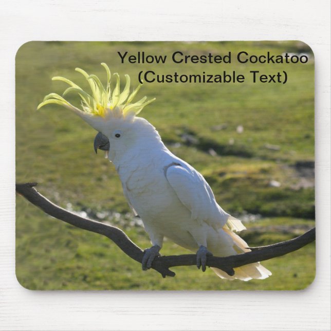 Mousepad Cockatoo Prendido de Enxofre Amarelo australiano (Frente)