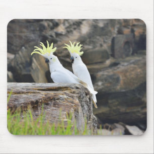 Mousepad Cockatoos