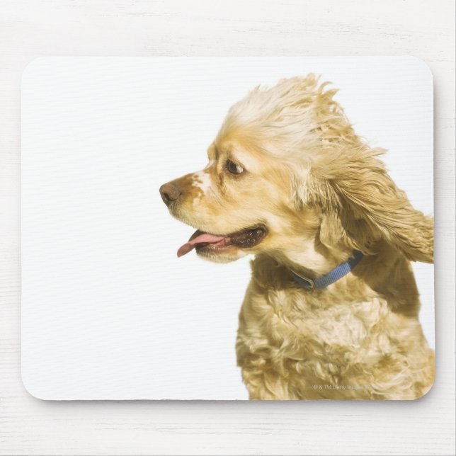 Mousepad Cocker Spaniel (Frente)