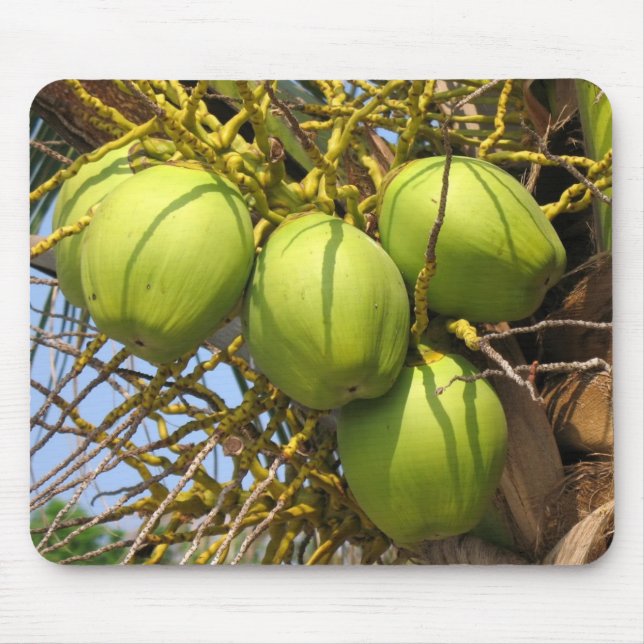 Mousepad Cocos verdes frescos (Frente)