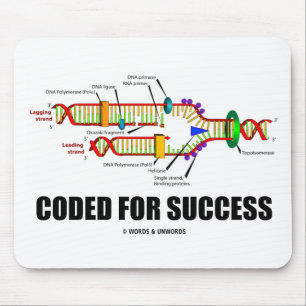 Mousepad Codificado para replicação bem-sucedida do DNA