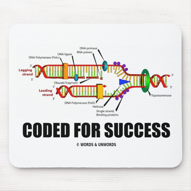Mousepad Codificado para replicação bem-sucedida do DNA (Frente)