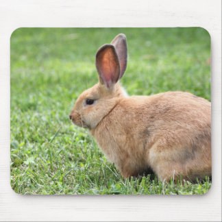 Mousepad Coelhinho Bonito