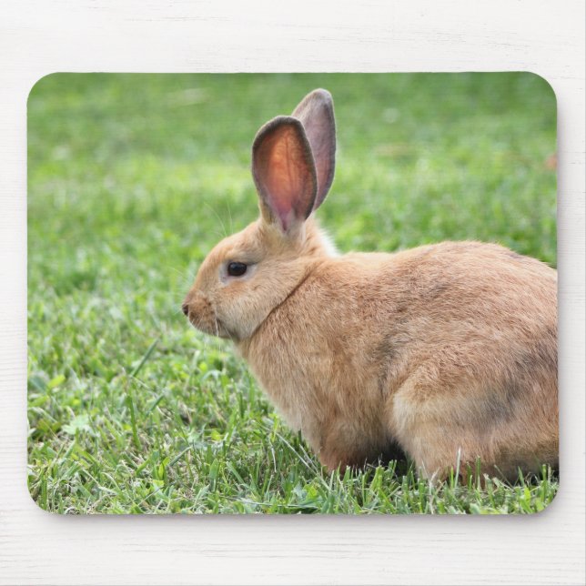 Mousepad Coelhinho Bonito (Frente)