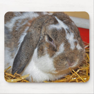 Mousepad Coelhinho De Disquete