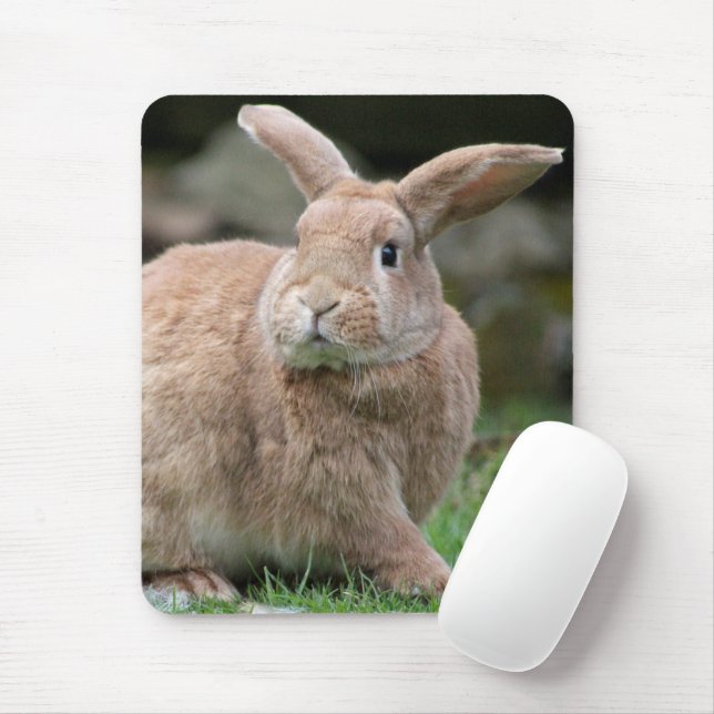 Mousepad Coelhinho de gengibre bonito com orelhas grandes (Com mouse)