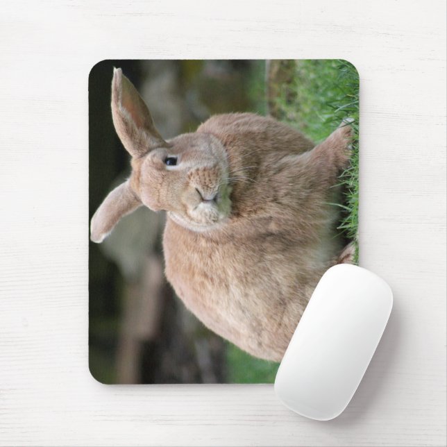 Mousepad Coelhinho de gengibre bonito com orelhas grandes (Com mouse)