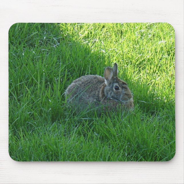 Mousepad coelho (Frente)