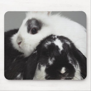 Mousepad coelho Anão-orelhudo que inclina-se sobre