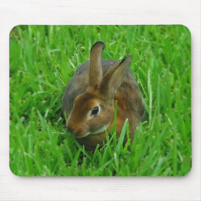 Mousepad Coelho bonito (Frente)