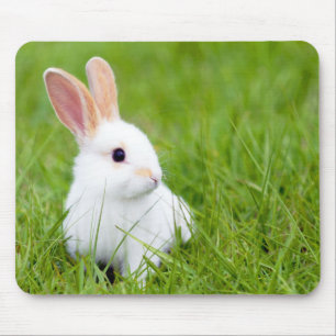 Mousepad Coelho branco