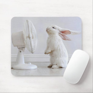 Mousepad Coelho Branco de Orelhas Caídas Esfriando