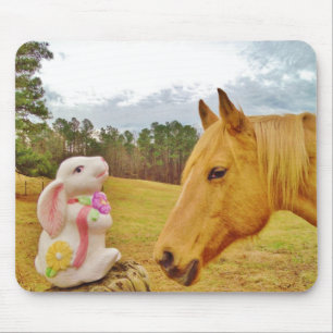 Mousepad Coelho branco e cavalo amarelo