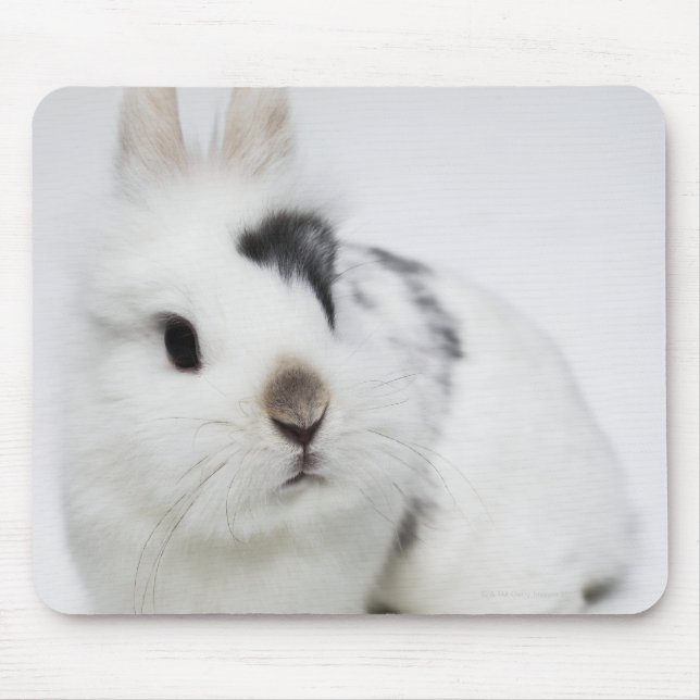 Mousepad Coelho branco, preto e castanho (Frente)