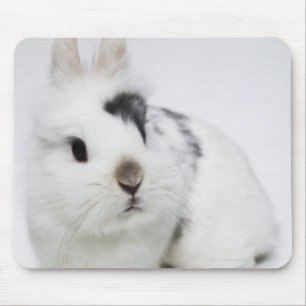 Mousepad Coelho branco, preto e marrom