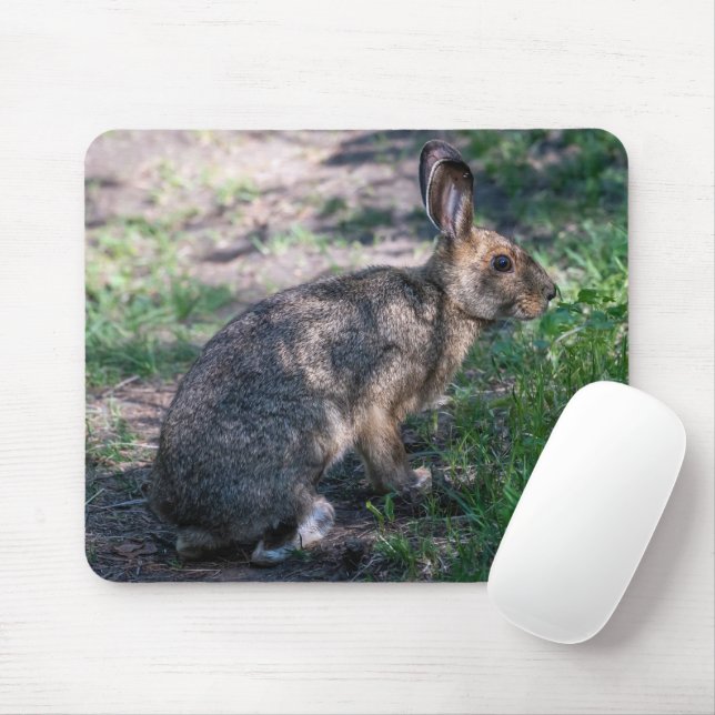 Mousepad Coelho castanho, Descansado na Natureza (Com mouse)