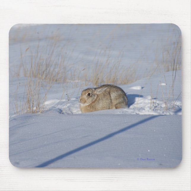 Mousepad Coelho Cottontail R5 na Neve (Frente)