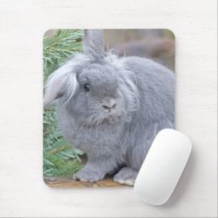 Mousepad Coelho da cinza