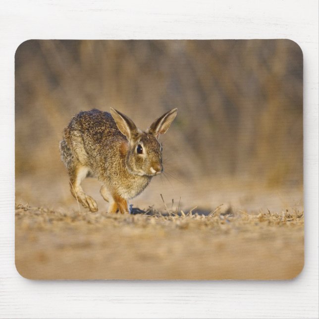 Mousepad coelho-da-cotovia-oriental saltando (Frente)