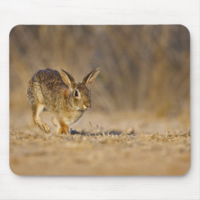 Mousepad coelho-da-florida saltando (Frente)
