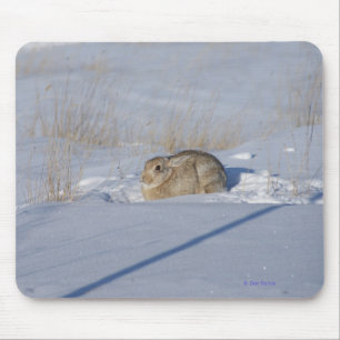 Mousepad Coelho de coelho R5 na neve
