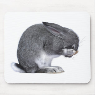 Mousepad Coelho de desespero