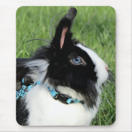 Mousepad Coelho de Lionhead Branco e Preto Fluffy