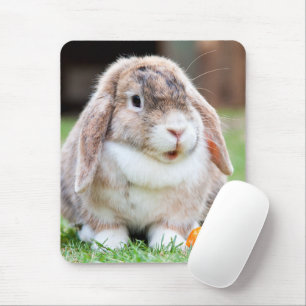 Mousepad Coelho-de-orelha-branca
