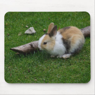 Mousepad Coelho Doce