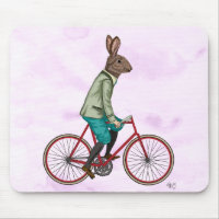 Coelho na bicicleta 3