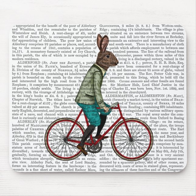 Mousepad Coelho Na Bike 2 (Frente)