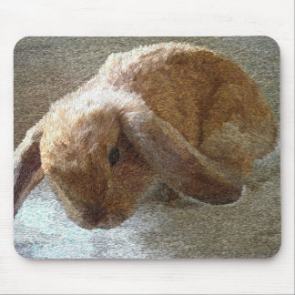Mousepad Coelho orelhudo de Holland Lop